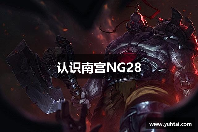 认识南宫NG28